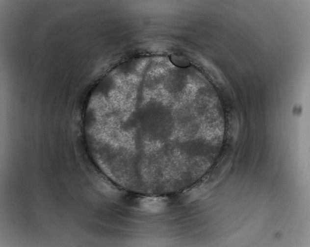 X0000101110465200807241139