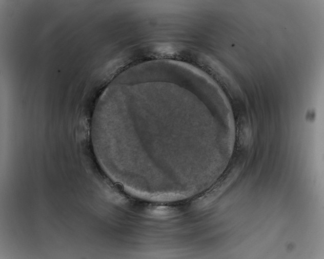 X0000101110467200807241139