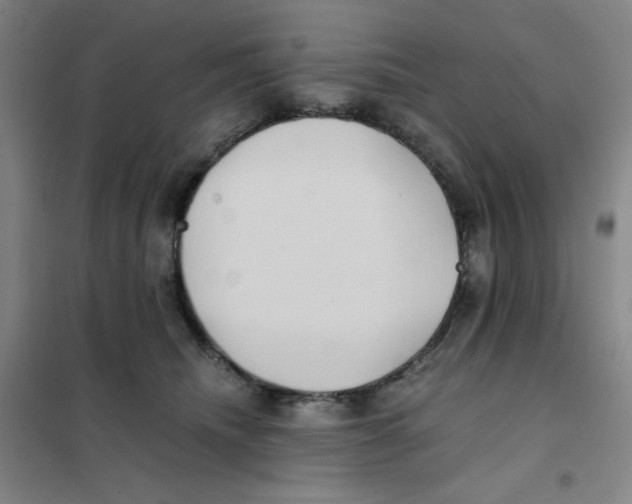 X0000101110468200807241139