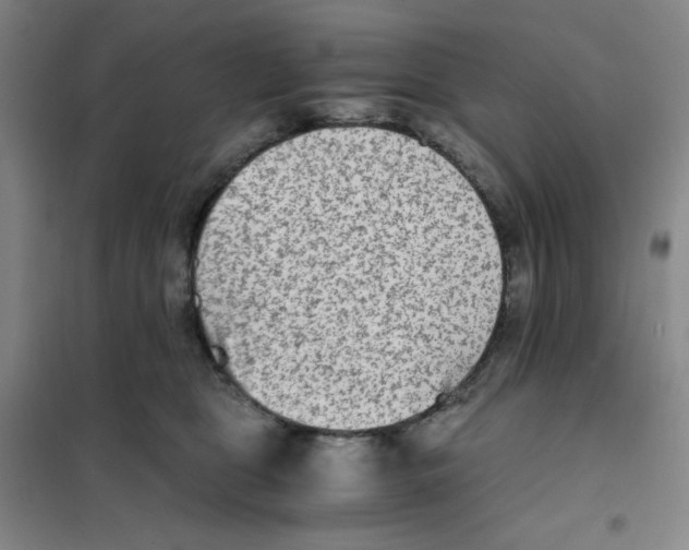 X0000101110469200807241139