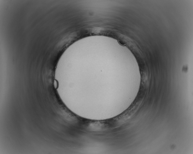 X0000101110470200807241139