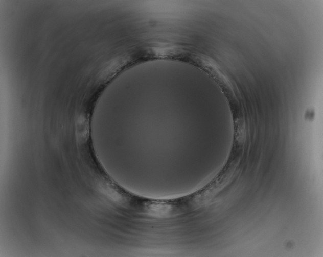 X0000101110471200807241139