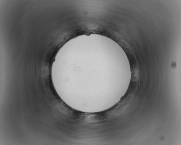 X0000101110472200807241139