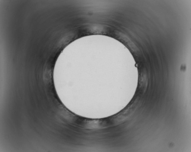 X0000101110473200807241140