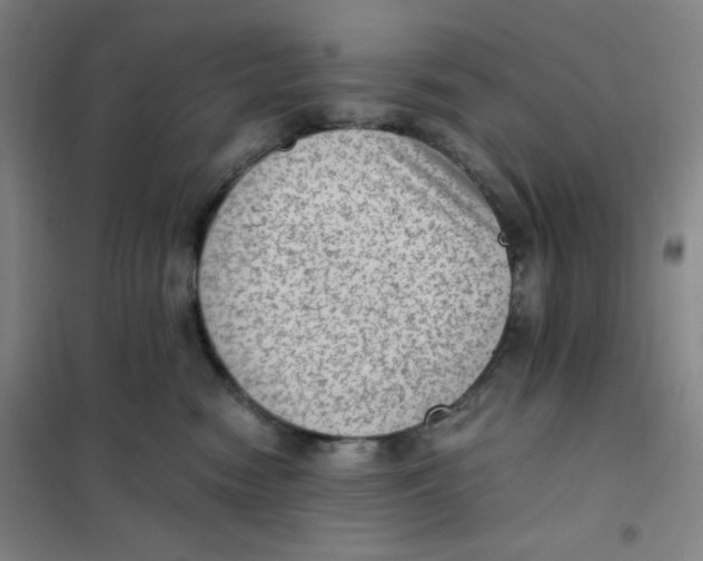 X0000101110474200807241140