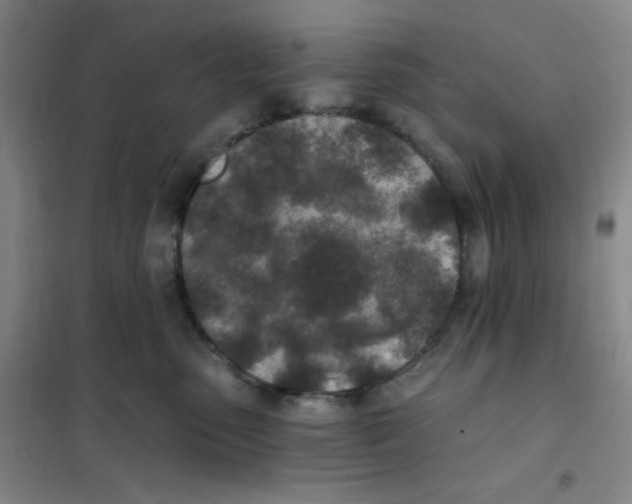 X0000101110475200807241140