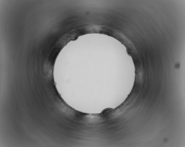 X0000101110477200807241140