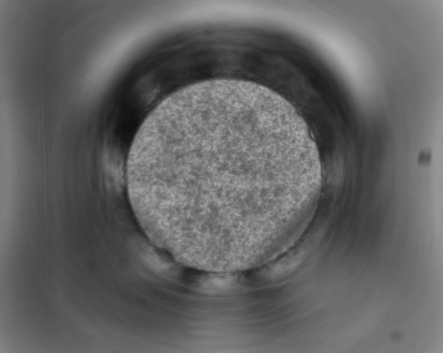 X0000101110479200807241140