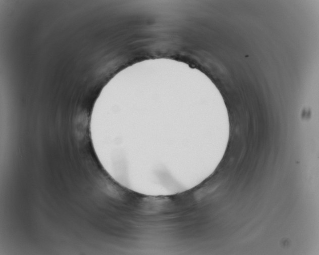 X0000101110480200807241140