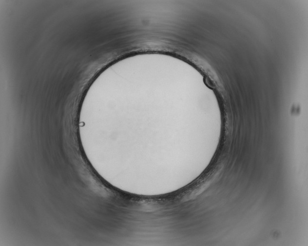 X0000101110481200807241139