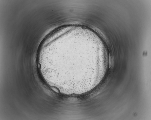 X0000101110483200807241139