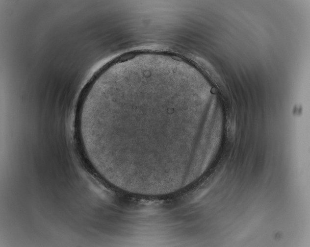 X0000101110484200807241139