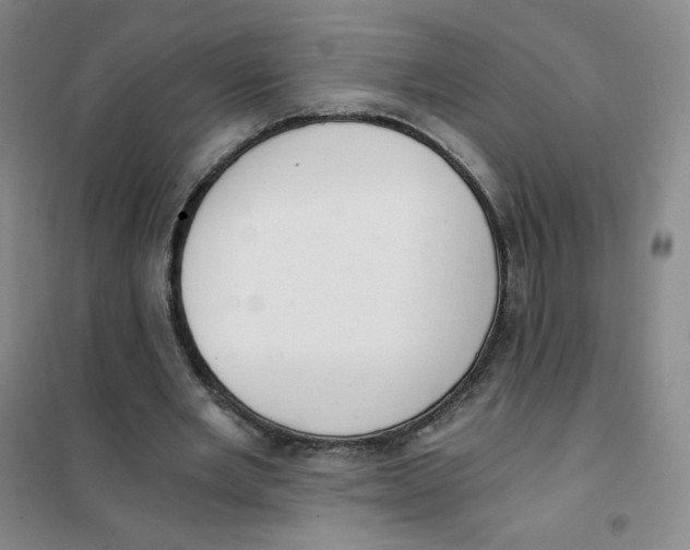 X0000101110485200807241139