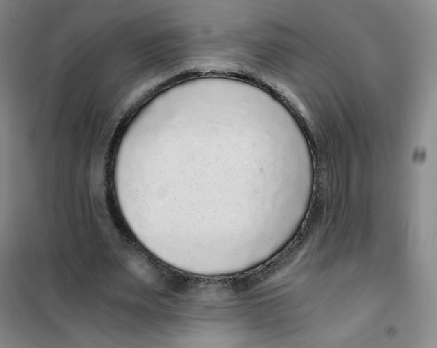 X0000101110487200807241139