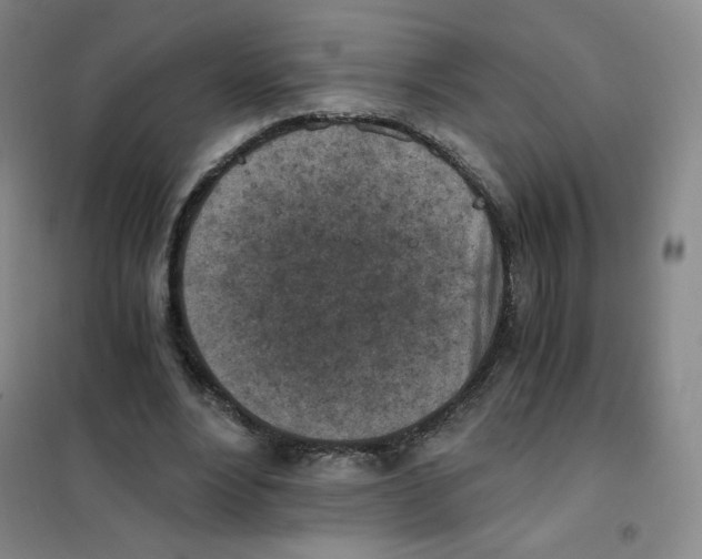 X0000101110488200807241139