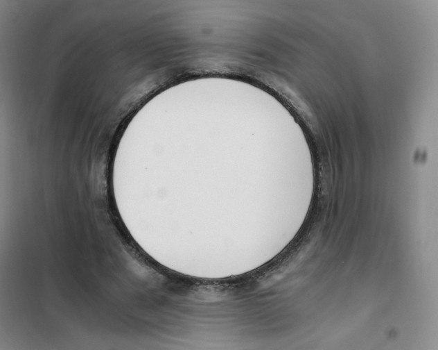 X0000101110489200807241139