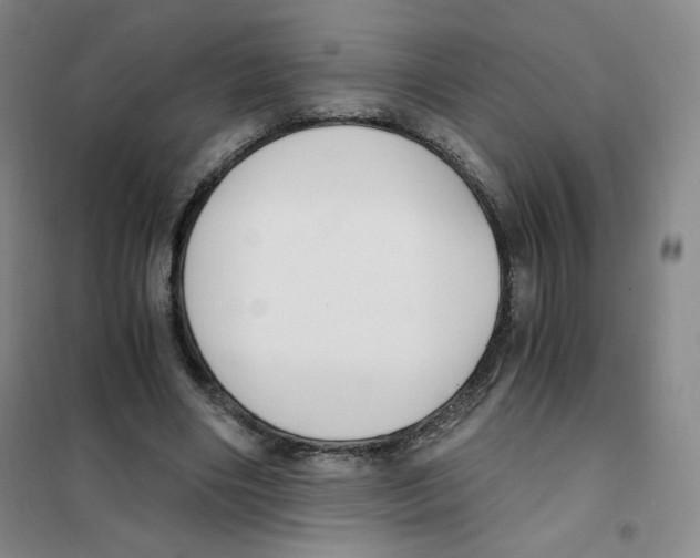 X0000101110490200807241139