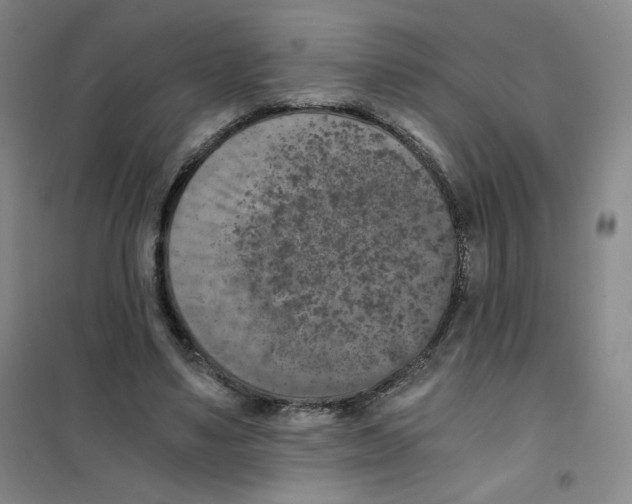 X0000101110491200807241139
