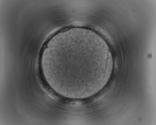 X0000101110492200807241139