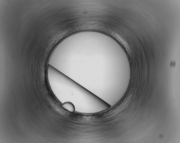 X0000101110493200807241139