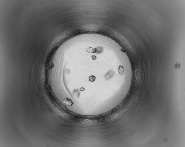 X0000101110494200807241139