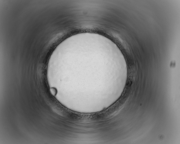 X0000101110495200807241139