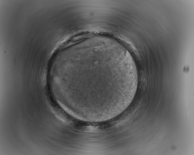X0000101110496200807241139