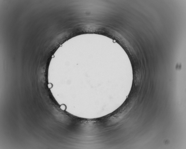 X0000101110497200807241139