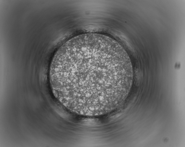 X0000101110499200807241139