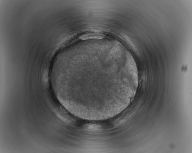 X0000101110500200807241139