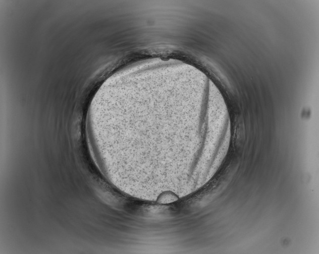 X0000101110501200807241138