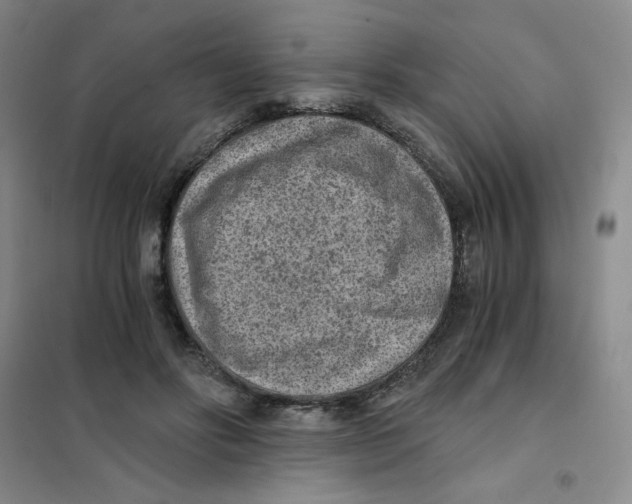 X0000101110502200807241138