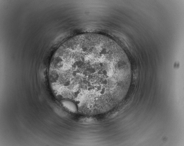 X0000101110503200807241138
