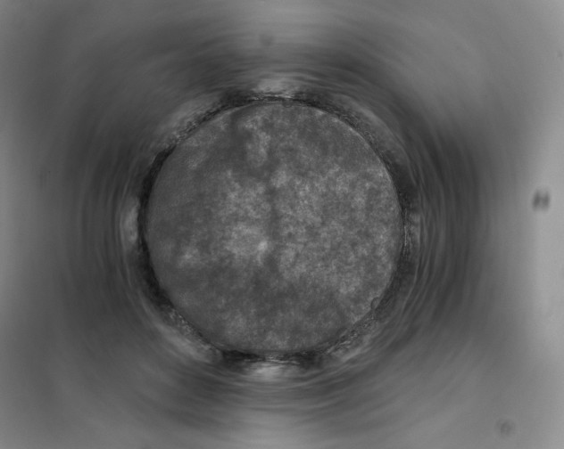 X0000101110504200807241138