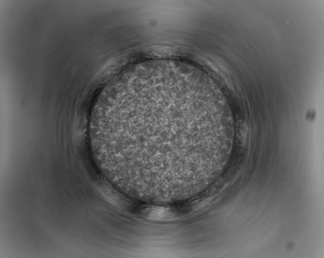 X0000101110507200807241138