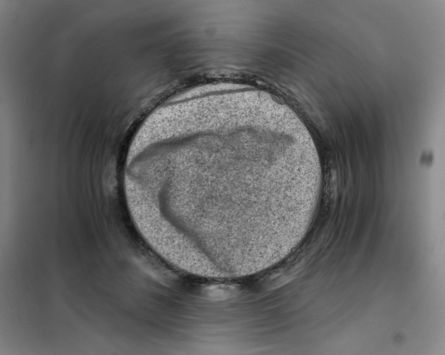 X0000101110508200807241138