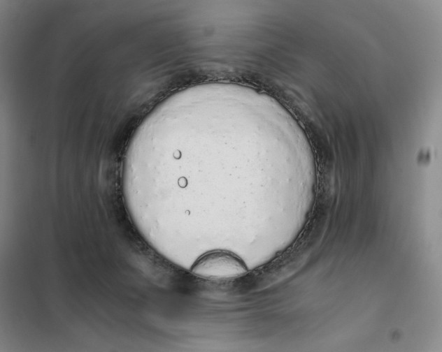 X0000101110511200807241138