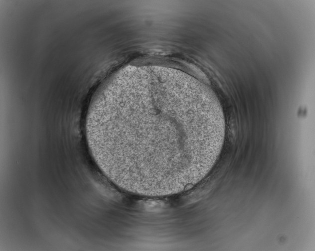 X0000101110512200807241138