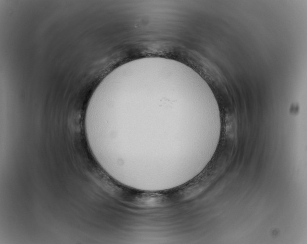 X0000101110514200807241138