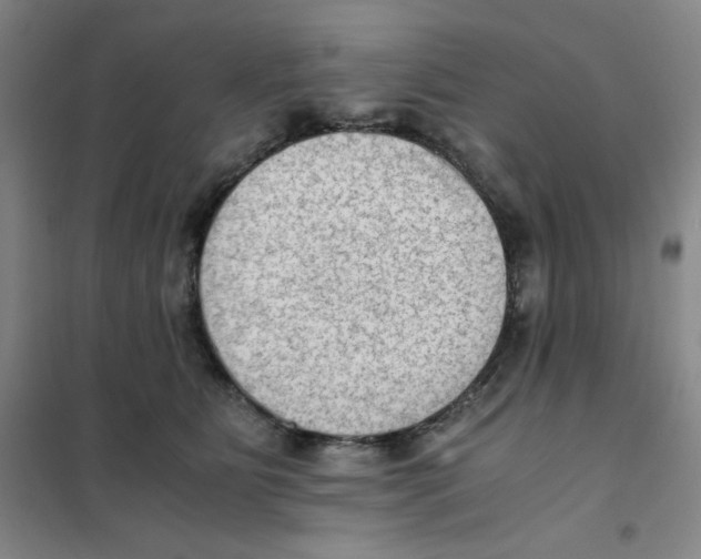 X0000101110515200807241138