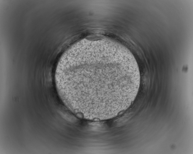 X0000101110516200807241138