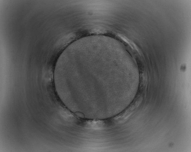 X0000101110517200807241138