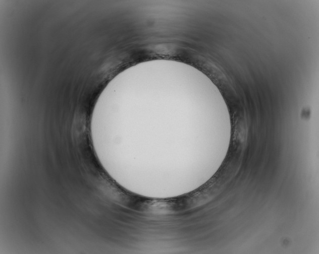 X0000101110518200807241138