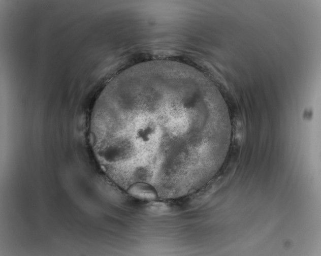 X0000101110519200807241138