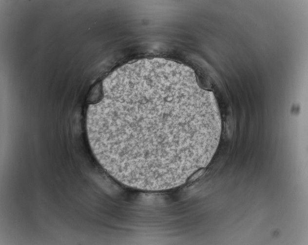 X0000101110520200807241138