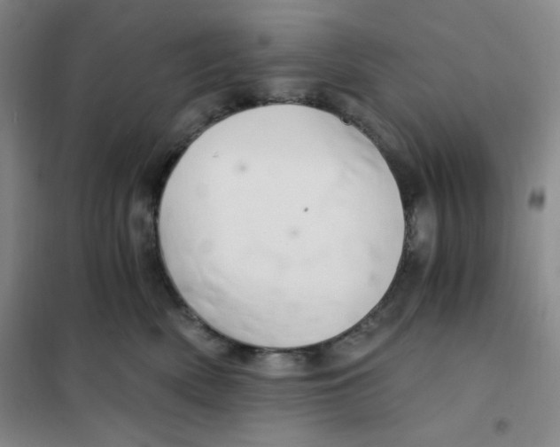 X0000101110522200807241138