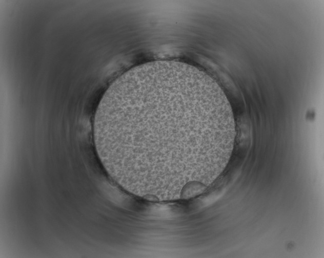 X0000101110523200807241138