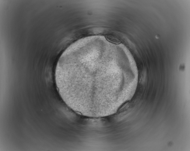 X0000101110524200807241138