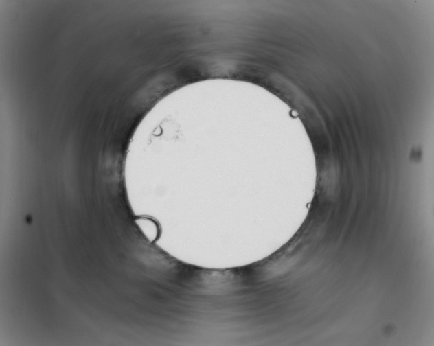 X0000101110525200807241138