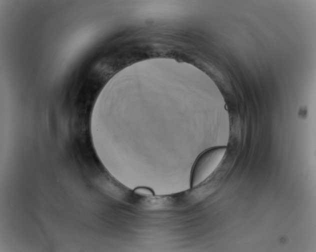 X0000101110526200807241138